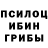 Галлюциногенные грибы Psilocybine cubensis Varske Arklys